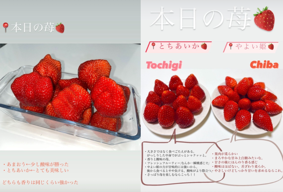 スクリーンショット 2025-05-30 170226