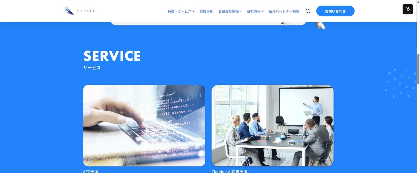 株式会社トライエッジ｜作り直す前のサービス紹介。写真とサービス名だけで、価格も作業内容もありませんでした